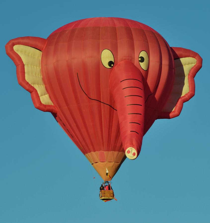 elephant-hot-air-balloon-sara-edens.jpg