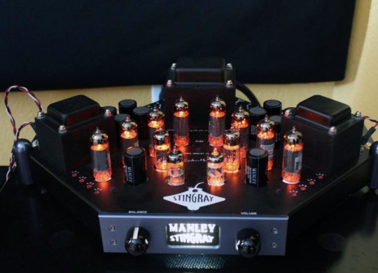 manley-stingray-540x390.jpg