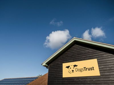 www.dogstrust.org.uk