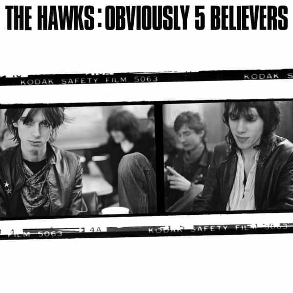 188333-the-hawks-obviously-5-believers.jpg